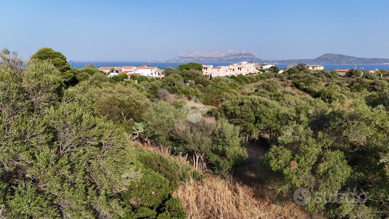 TERRENO A OLBIA - Vista 5