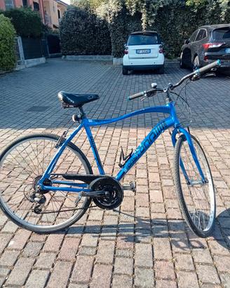Bicicletta uomo 