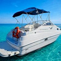 Regal Commodore 2465 5.0 MerCruiser si permute