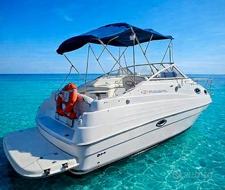 Regal Commodore 2465 5.0 MerCruiser si permute