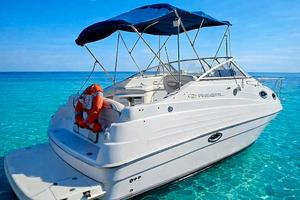 Regal Commodore 2465 5.0 MerCruiser si permute