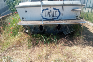 Barca in vetroresina