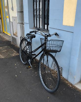 Bicicletta da donna
