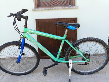 bicicletta Frejus cerchio 24