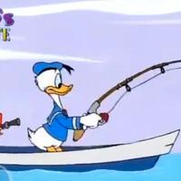 Impiegato Commerciale