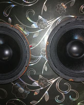 Midrange sp audio 150 rms
