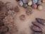 Immagine 5