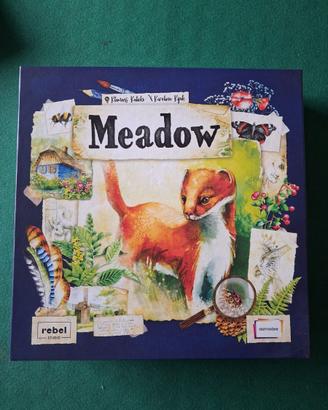 Gioco da tavolo