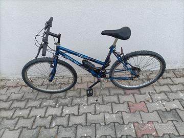 Bici Mountain-bike