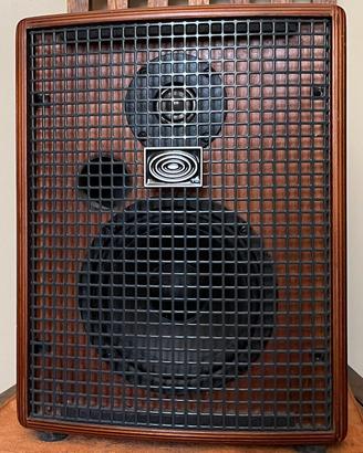 Amplificatore jam 100 watt