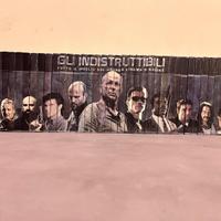DVD Gli Indistruttibili