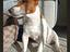 Immagine 3