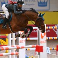 Cavallo da salto