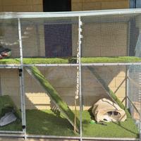 Catio XL per gatti - recinto esterno a 2 piani