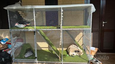 Catio XL per gatti - recinto esterno a 2 piani