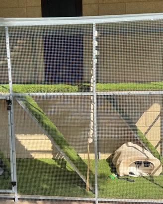 Catio XL per gatti - recinto esterno a 2 piani