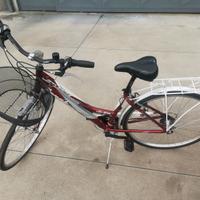 Bici 18 velocità - Stucchi mod. Newport 