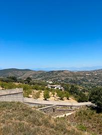 Perdifumo, Loc. Noce Alta grezzo