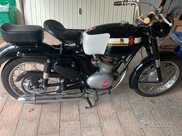 Gilera giubileo 202