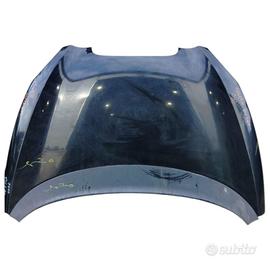 COFANO ANTERIORE SEAT Toledo 4Â° Serie (04>)