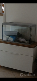 Aquario 60L