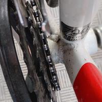 bici sportiva 