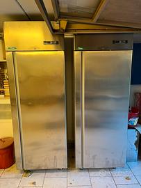 Figoriferi positivo e negativo