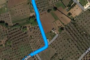 Campagna o terreno zona agricola