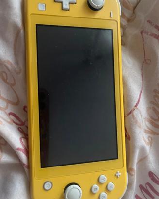 Nintendo switch lite