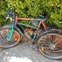 2 biciclette Mountain Bike Bottecchia e Bianchi