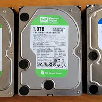 HDD interni Western Digital SATA 1Tb da 3.5"