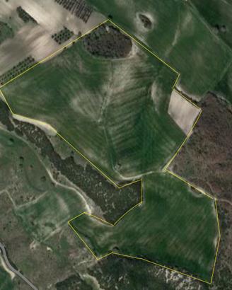 Terreno Agricolo