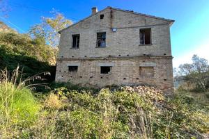 CASOLARE COLONICO TOTALMENTE IMMERSO nel VERDE