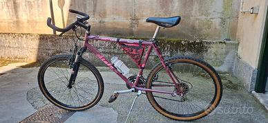 bici mountain bike uomo taglia 26