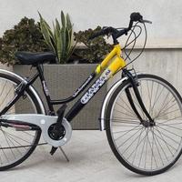 Bici Gianni Bugno 28