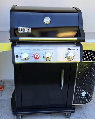 Barbecue Weber Spirit