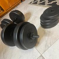 Manubri 40kg