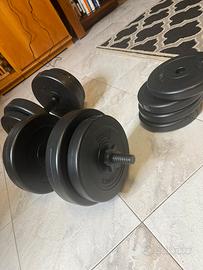 Manubri 40kg
