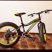 Bici Fat Bike 
