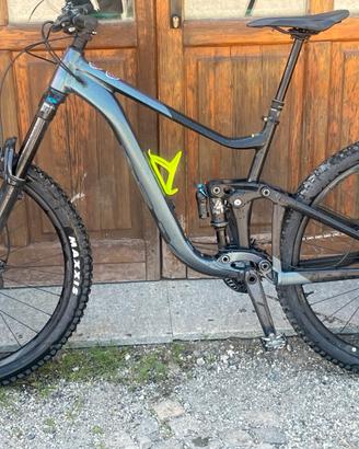 GIANT REIGN 1  2024  varie misure
