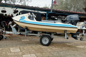 Motoscafo SeaKart con 25 hp Evinrude carrello