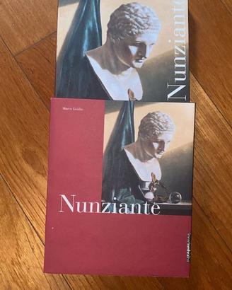 Nunziante di M. Goldin (linea d'ombra libri)