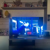 Parete attrezzata salone