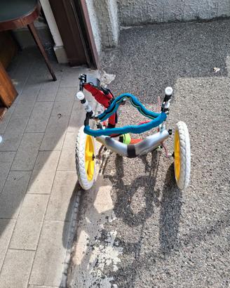 Carrello ortopedico per cani