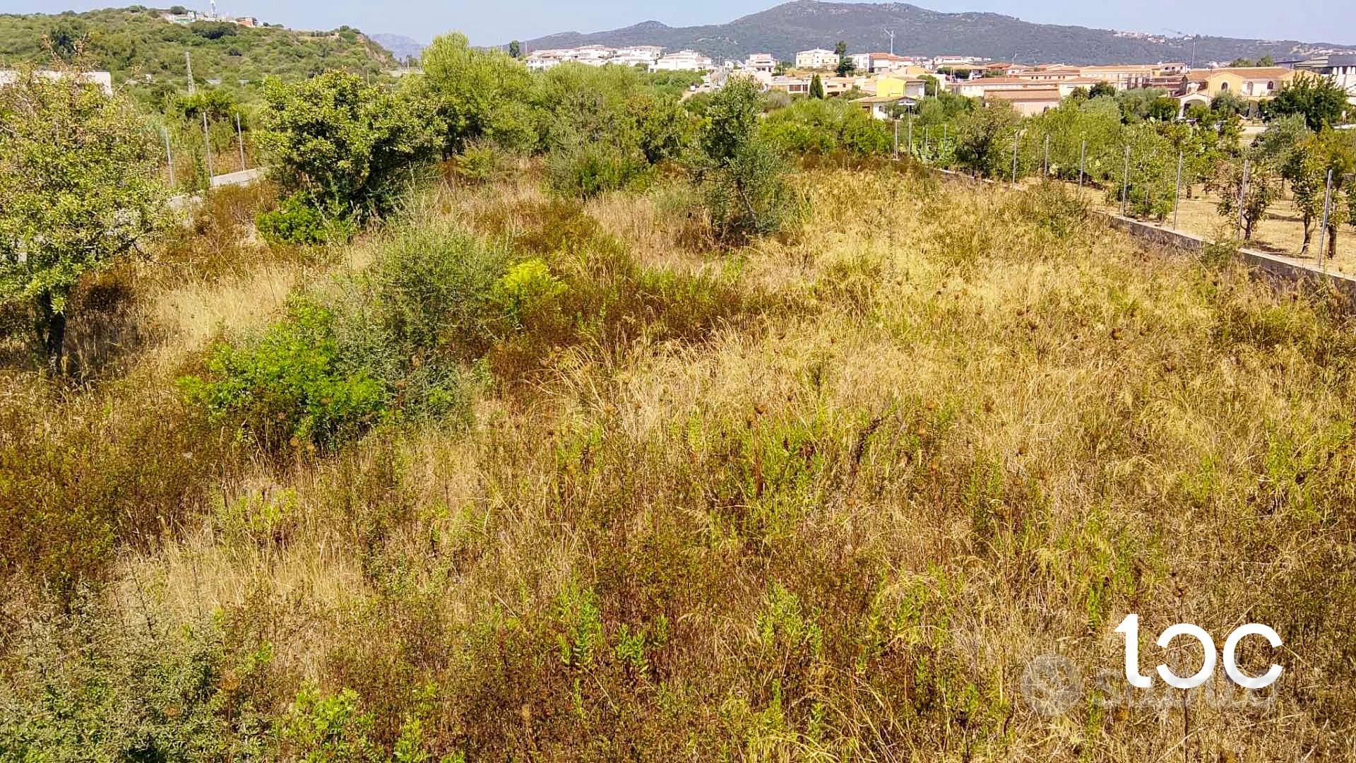 Terreno edificabile nel cuore di Budoni - Vista 2
