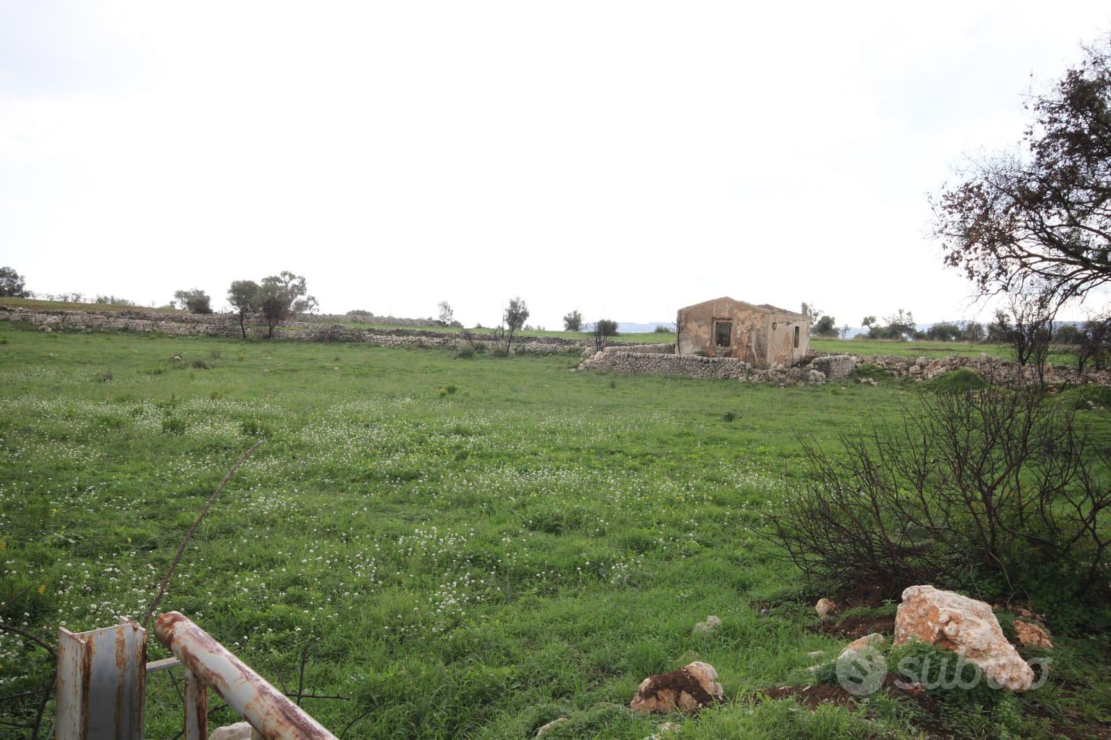 Terreno agricolo 8800 mq - Vista 4