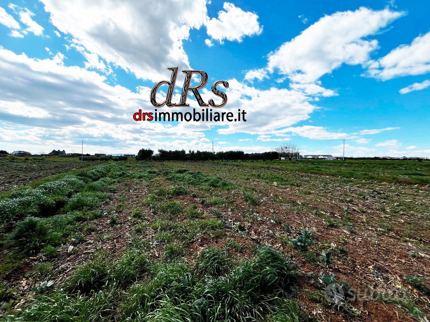 Agro di Marconia. Terreno agricolo di 3 ettari - Vista 4