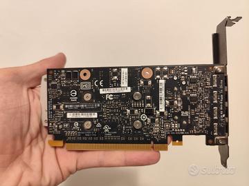 Scheda Video Nvidia Quadro P620