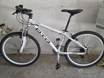 MTB Daytona