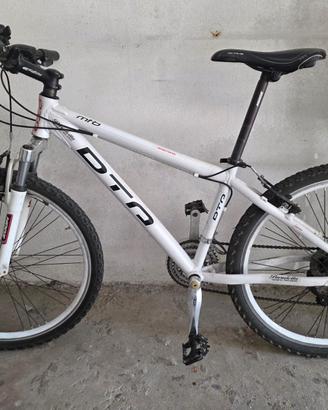 MTB Daytona